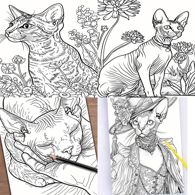 Sphynx Car Coloring Book! Christmas Gift idea or stocking stuffer for any cat lover or crazy cat lady!
