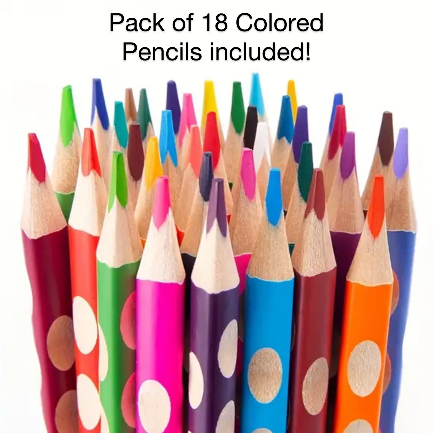 Sphynx Car Coloring Book! Christmas Gift idea or stocking stuffer for any cat lover or crazy cat lady!