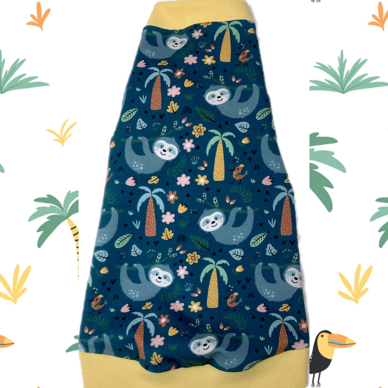 Best sphynx cat and kitten summer clothes. Sphynx and hairless cat shirts, sweaters and clothes.