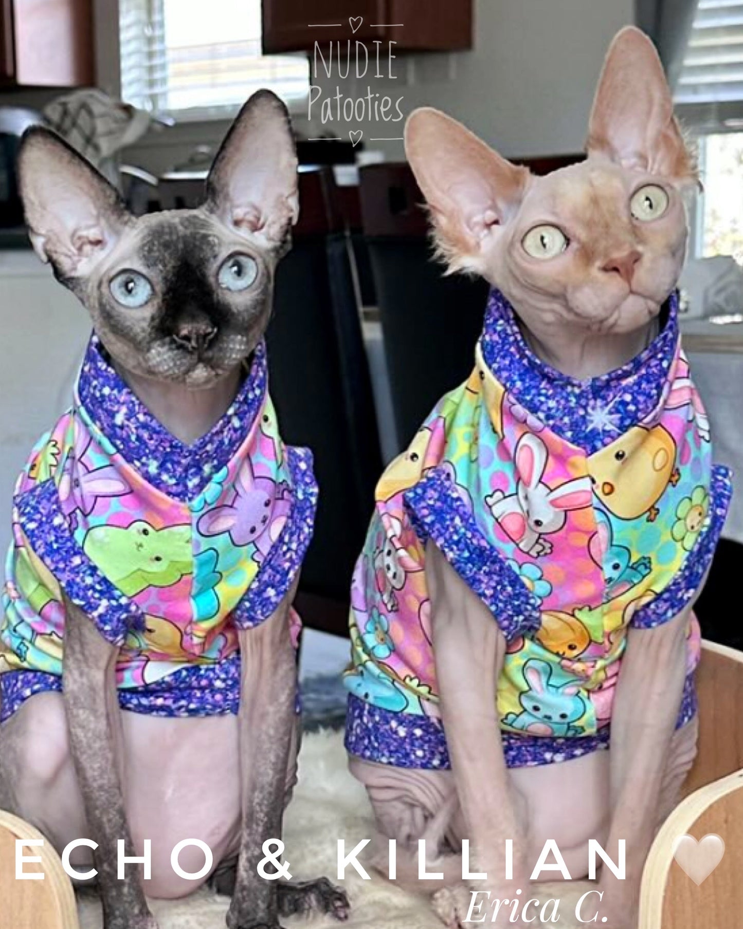 Sphynx cat and kitten shirt. Sphynx cat clothes.