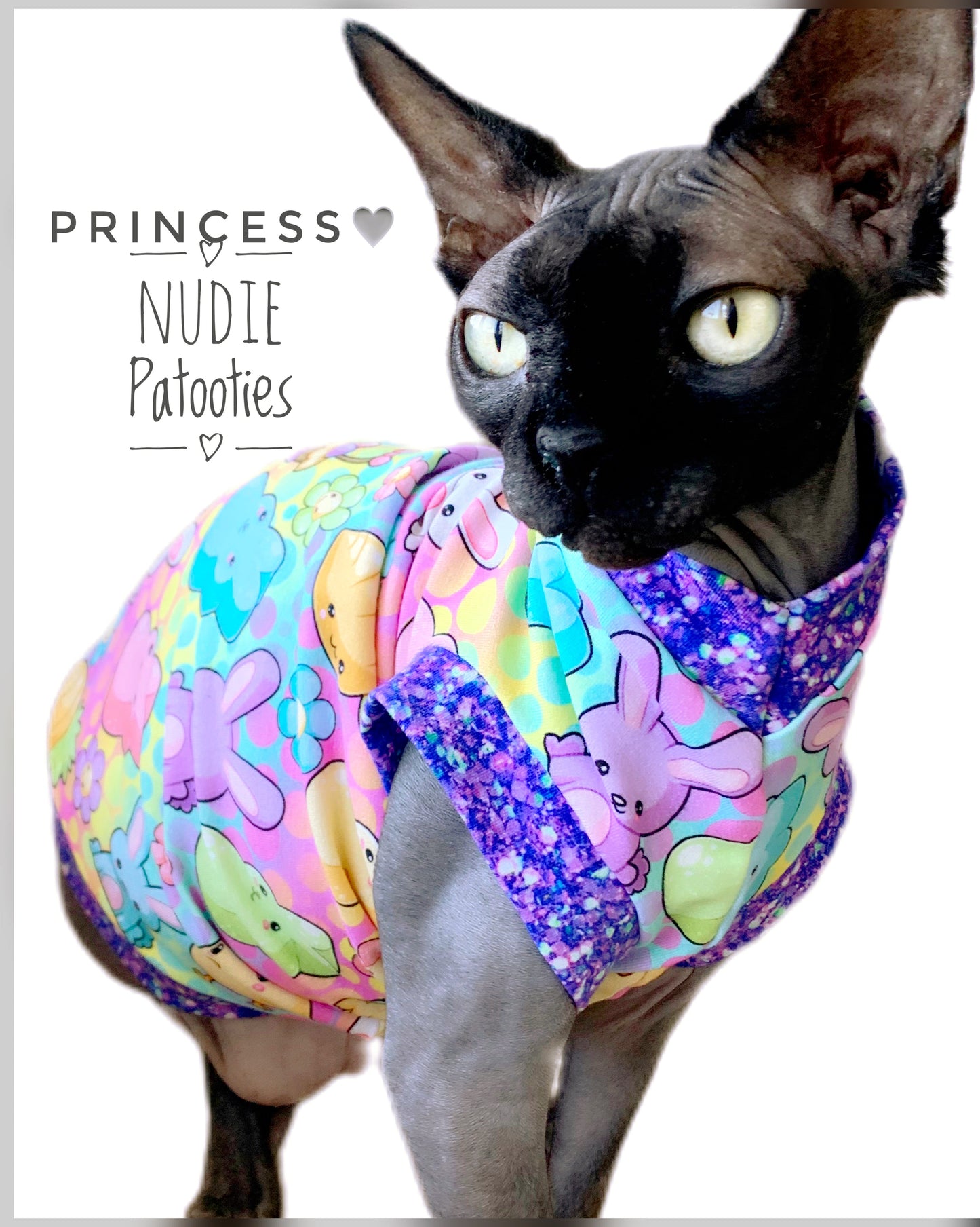 Sphynx cat and kitten shirt. Sphynx cat clothes.