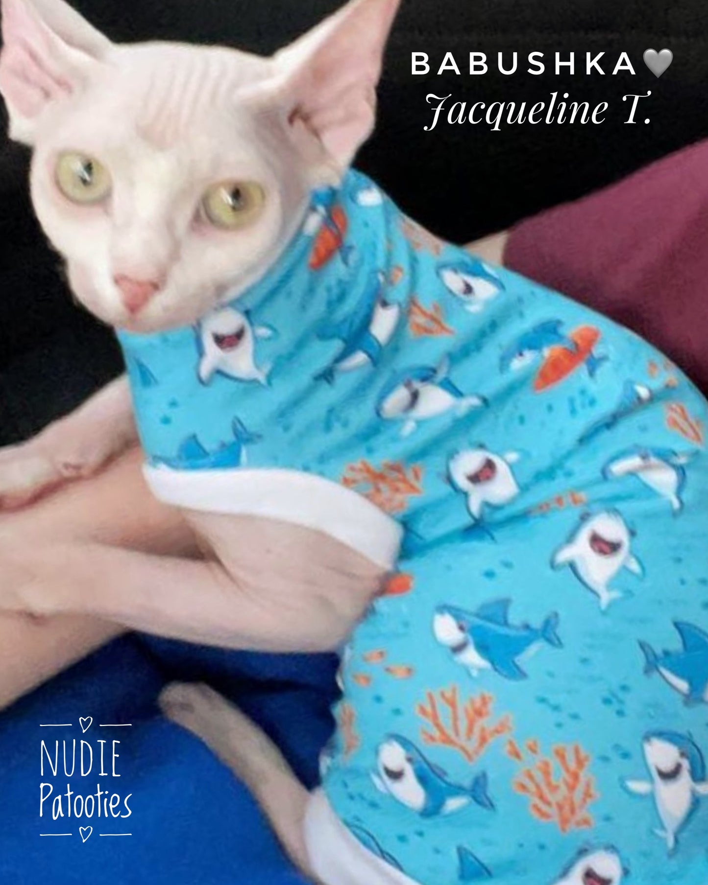 UV 50 + sun protection shirt for sphynx cat and kitten. Sphynx cat clothes.