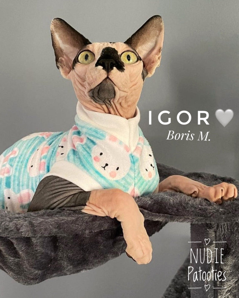 Sphynx cat and kitten minky Easter shirt. sphynx cat clothes