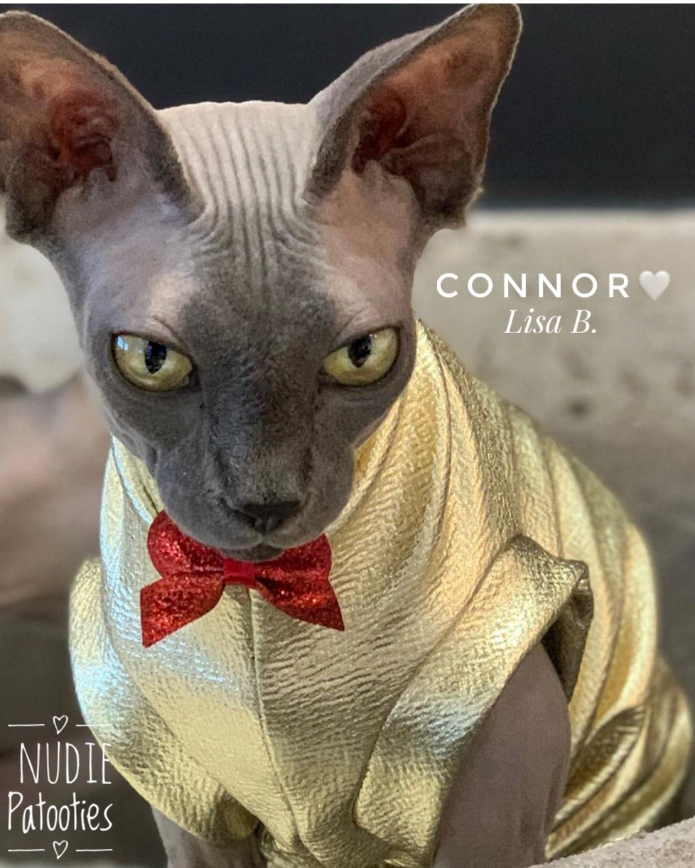 Sphynx cat and kitten shirt. Sphynx cat clothes
