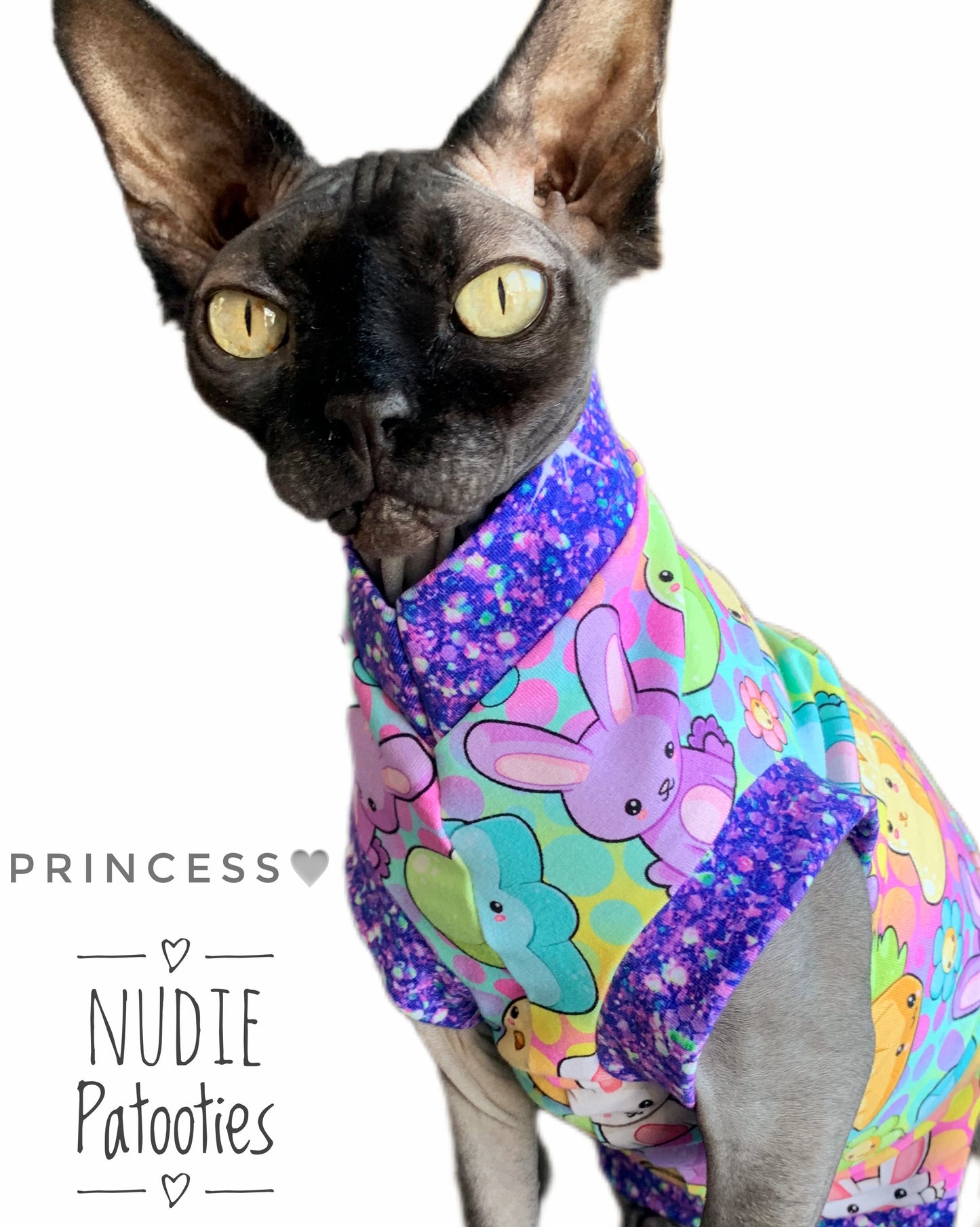 Sphynx cat and kitten shirt. Sphynx cat clothes.