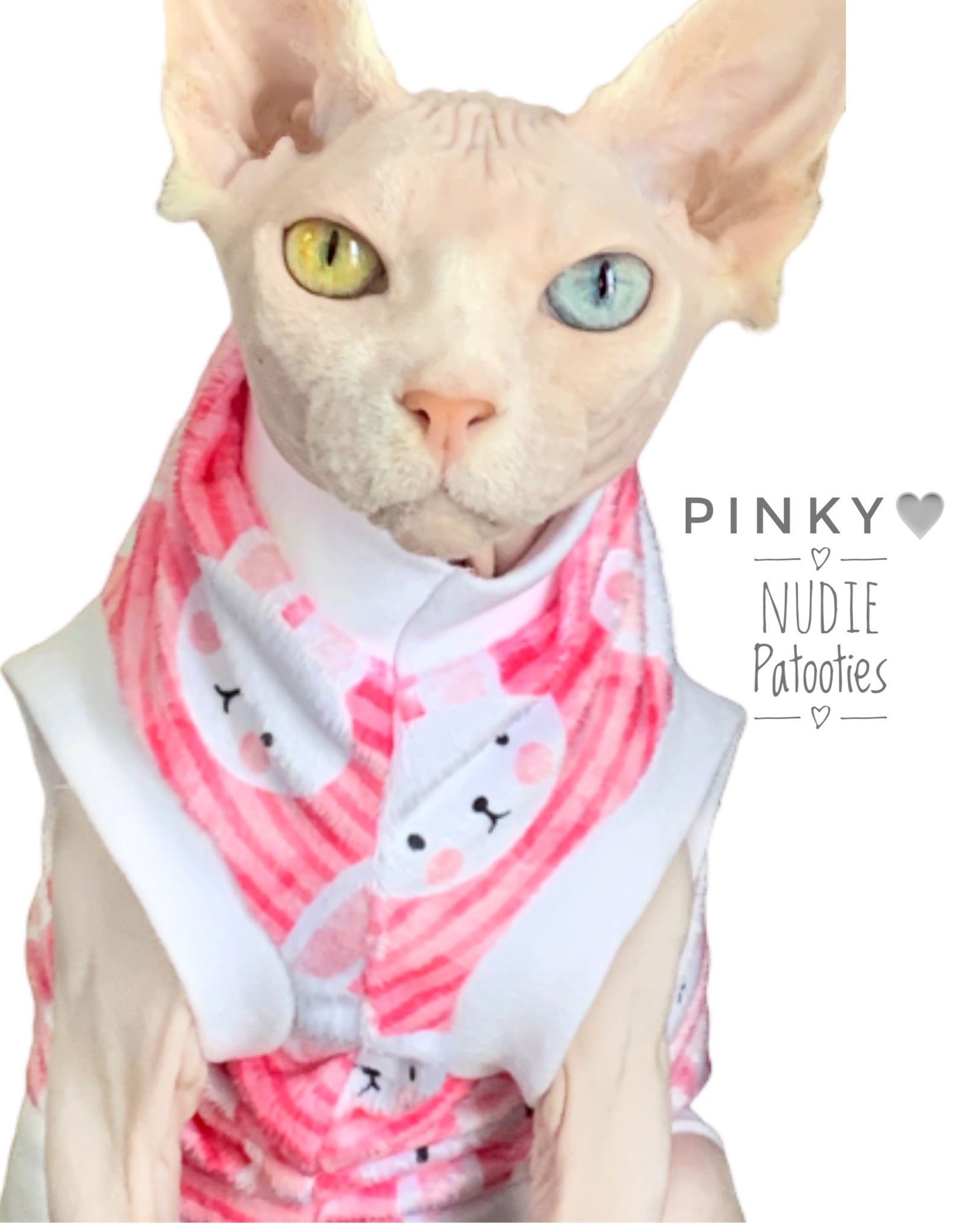  Sphynx cat and kitten minky Easter shirt.  sphynx cat clothes