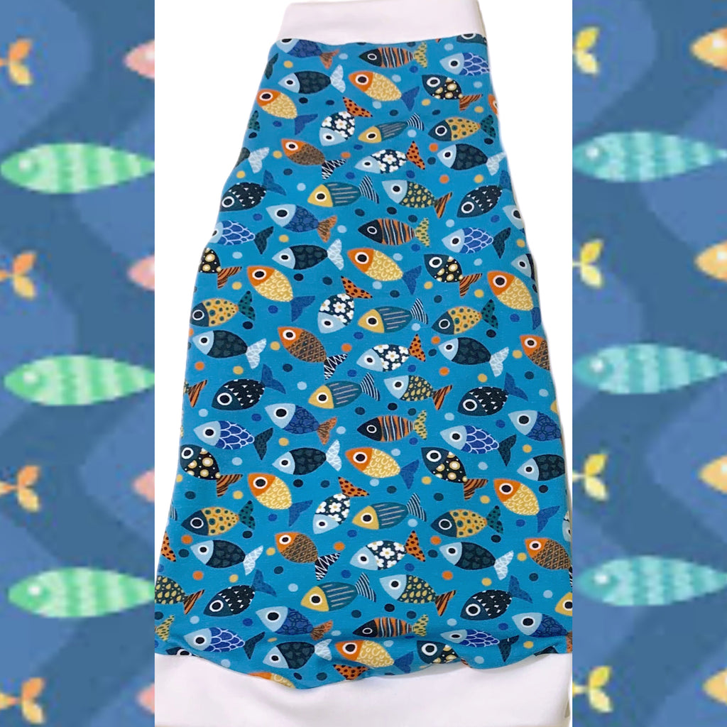 Colorful Fish, "I'm a Catch"