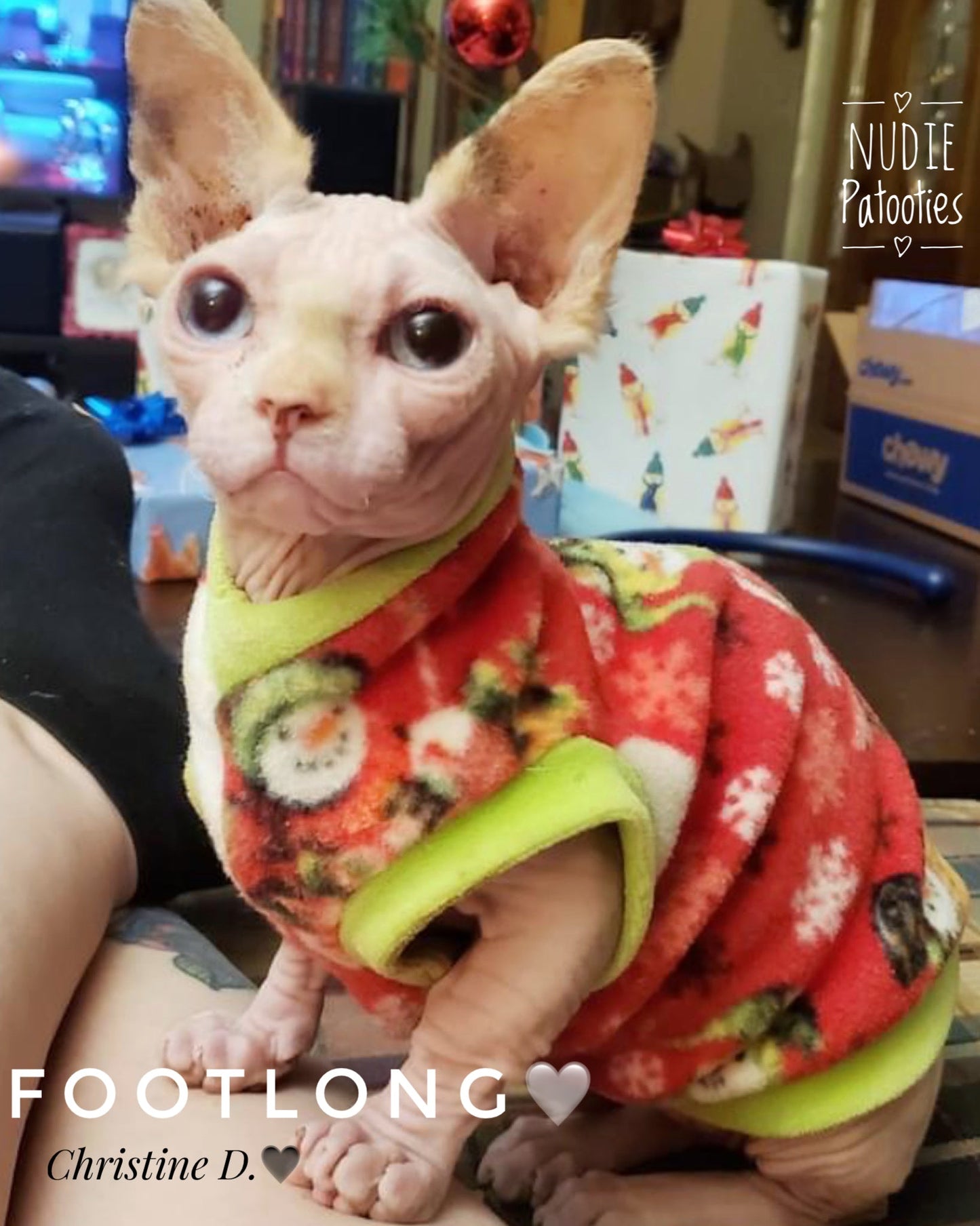 Sphynx cat and kitten fleece shirt. Sphynx cat clothes.