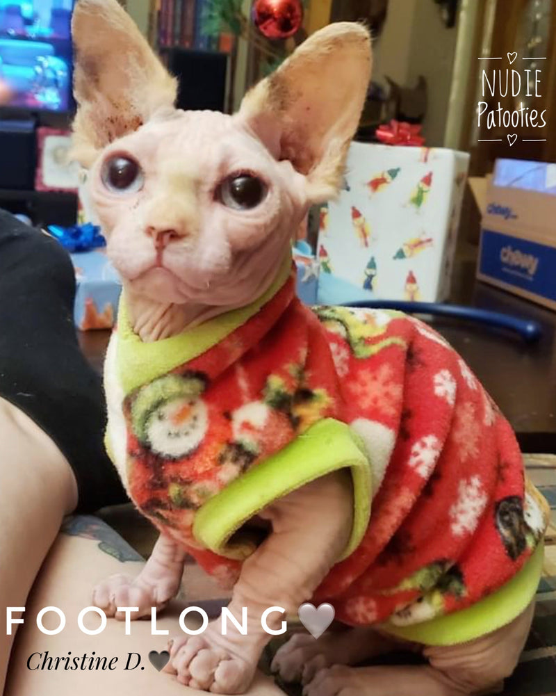 Sphynx cat and kitten fleece shirt. Sphynx cat clothes.