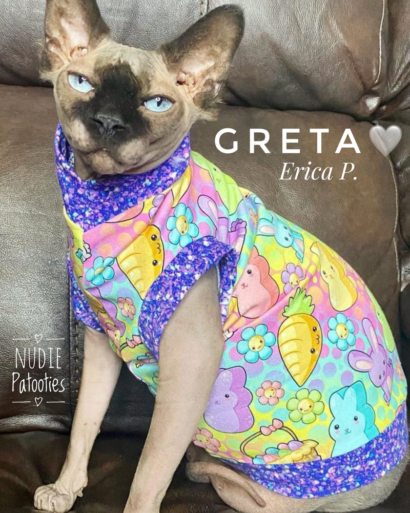 Sphynx cat and kitten shirt. Best sphynx cat and kitten clothes, shirts and swag.