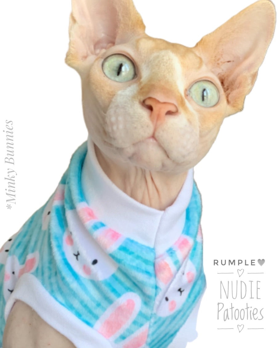 Sphynx cat and kitten minky Easter shirt. sphynx cat clothes