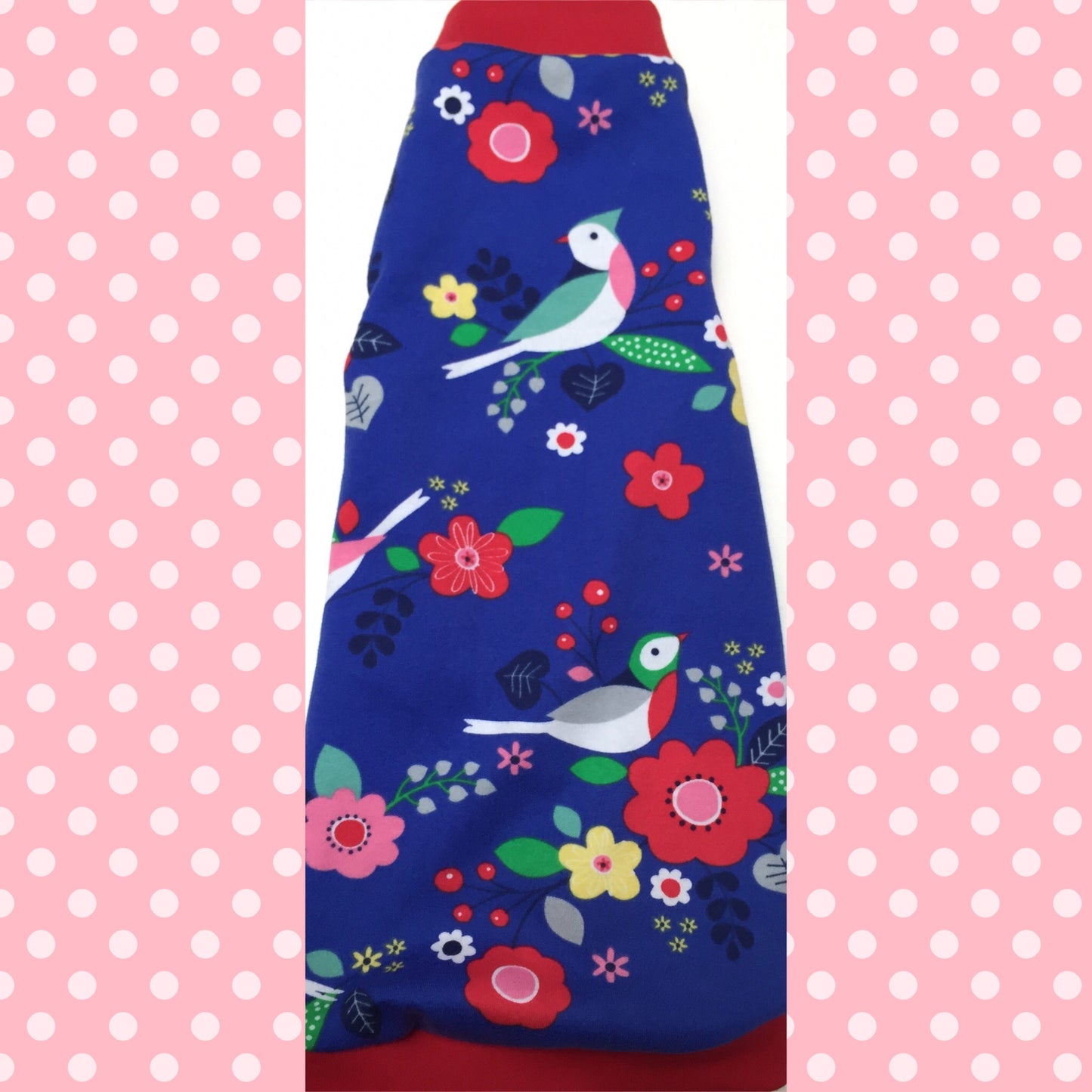 Blue Birds - Nudie Patooties Sphynx cat clothes for your sphynx cat, sphynx kitten, Donskoy, Bambino Cat, cornish rex, peterbald and devon rex cat.