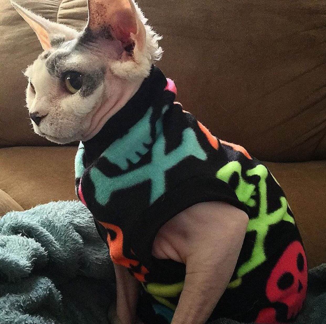 Sphynx Cat Fleece Clothes / clothes for cats/ cat overalls /cat shirt/ cat sweater/ cat sweatshirt/ pet sweater/ Sphynx cat clothes/ Sphynx clothing / cats clothes/ shirt for cat/ cat clothes/ tattoo/ skull/ designer cat clothes/ cat pjs