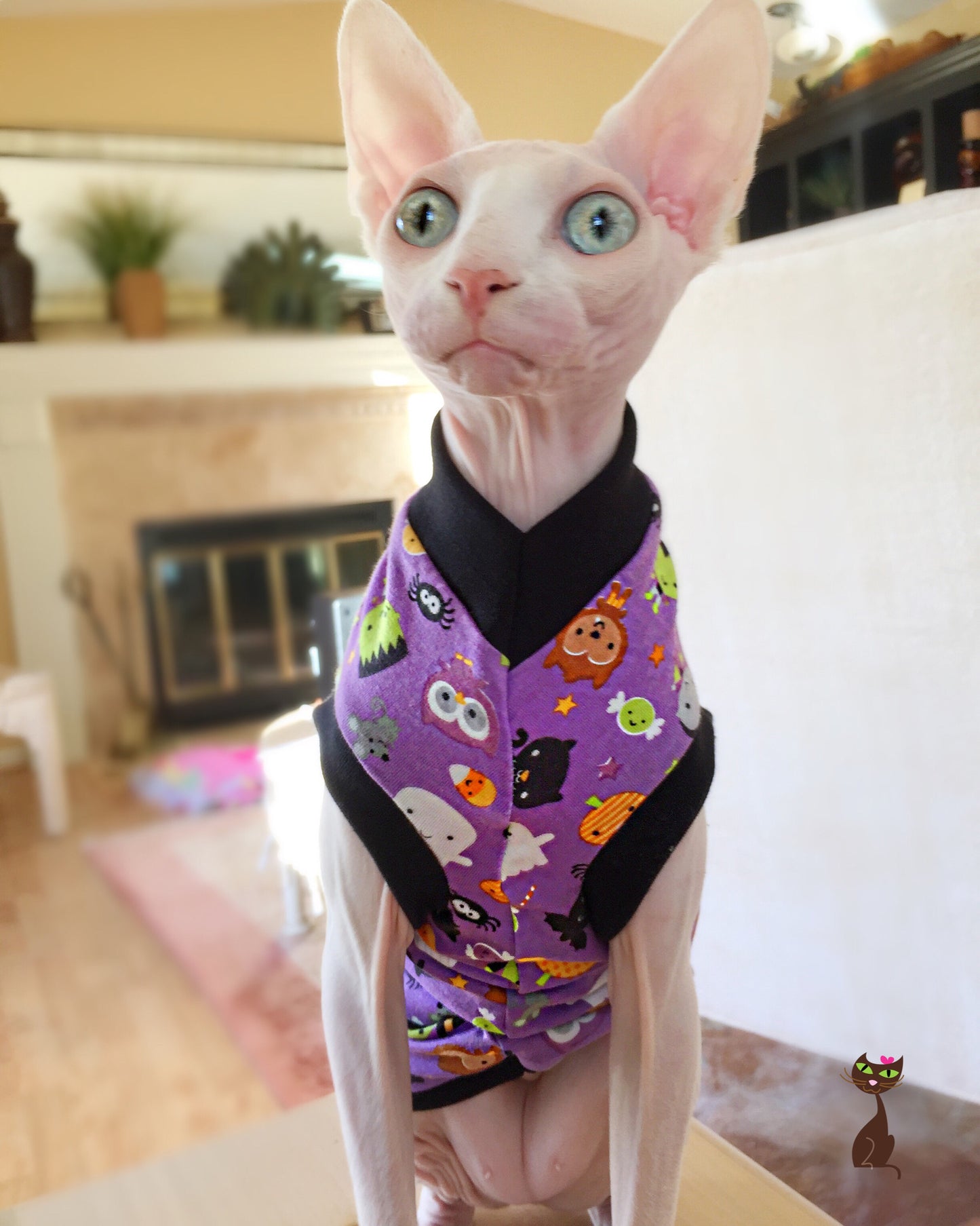 Sphynx cat and kitten shirt. Sphynx cat clothes.