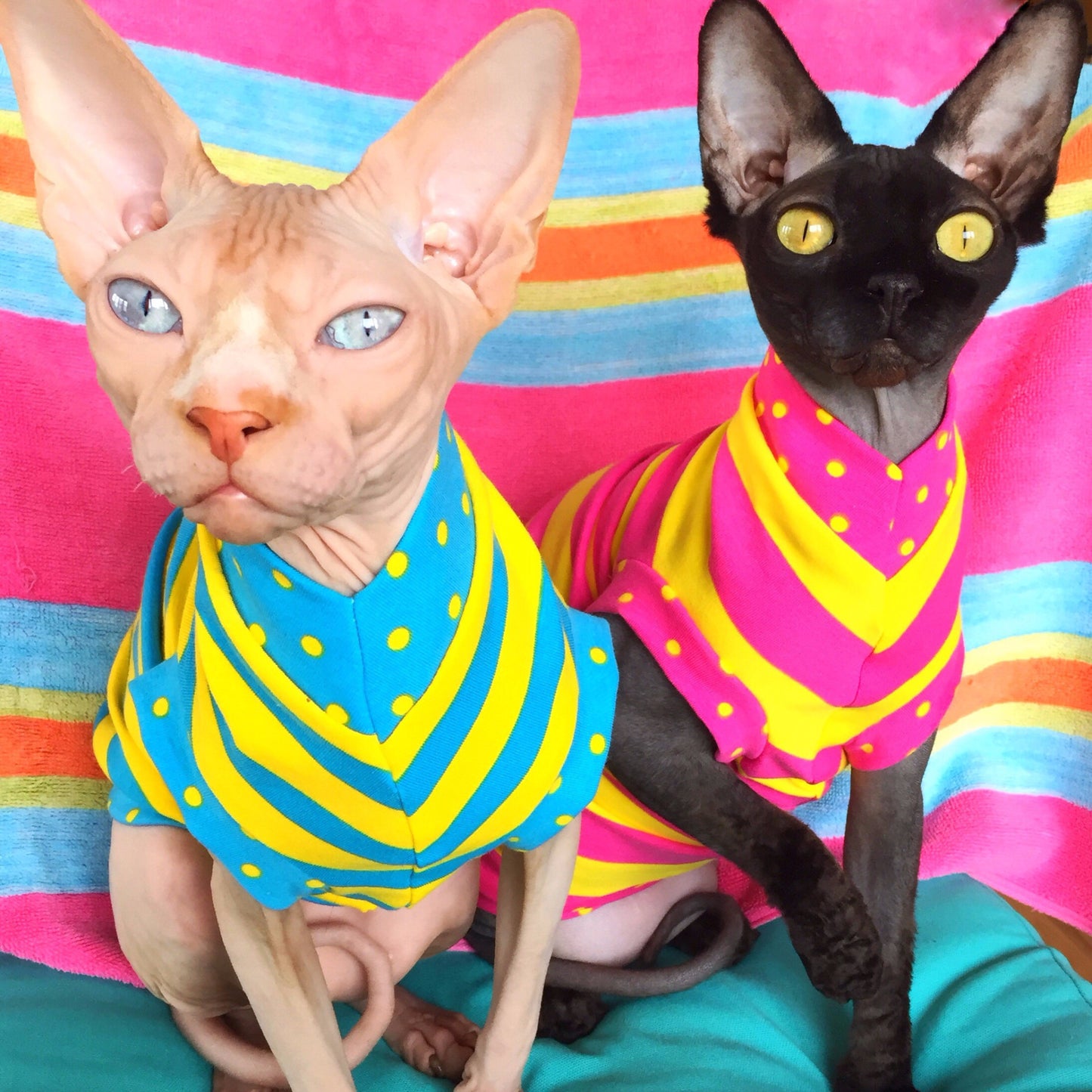 Turquoise and Yellow Stripe - Nudie Patooties