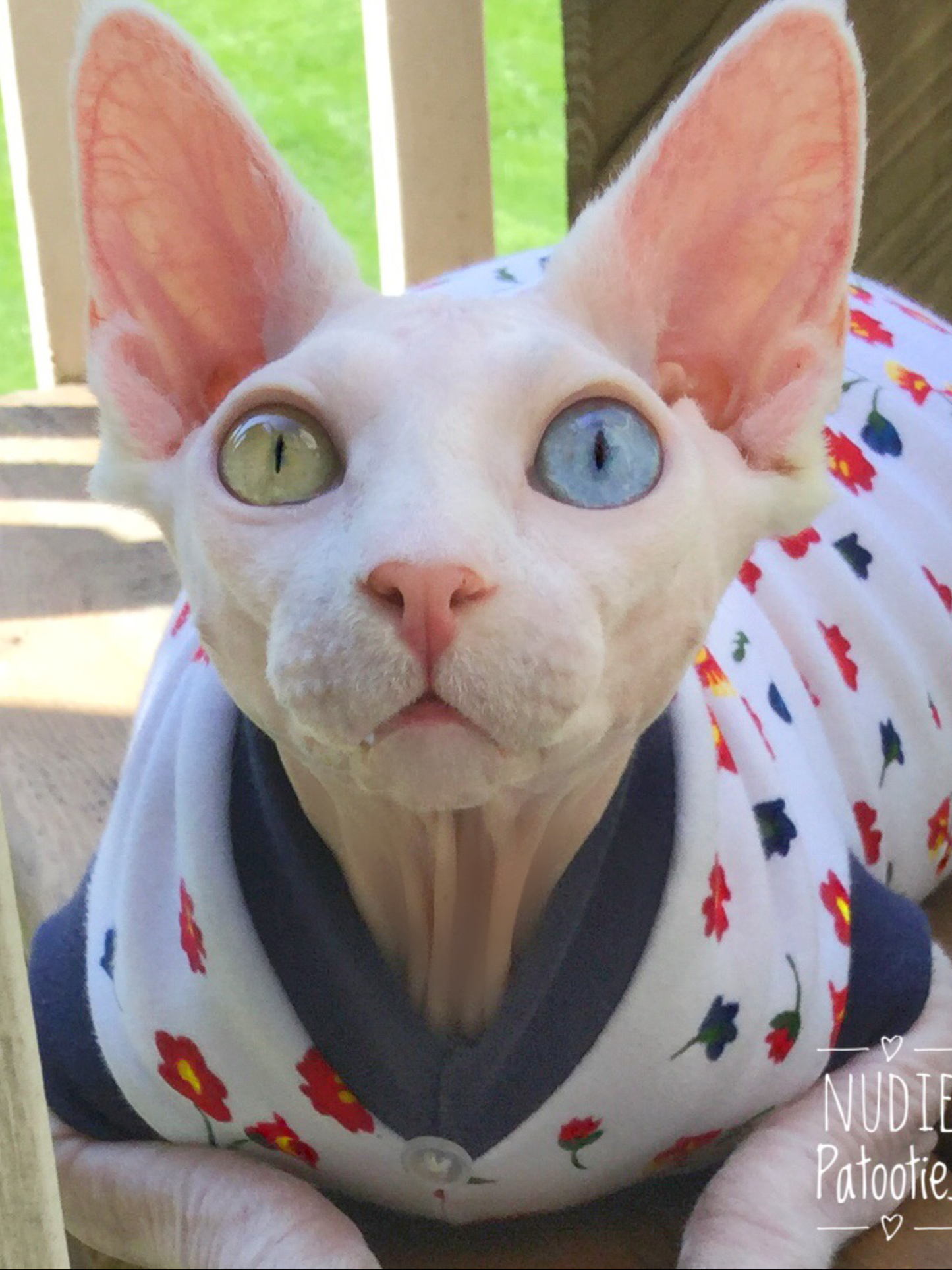 White and Red Flower - Nudie Patooties