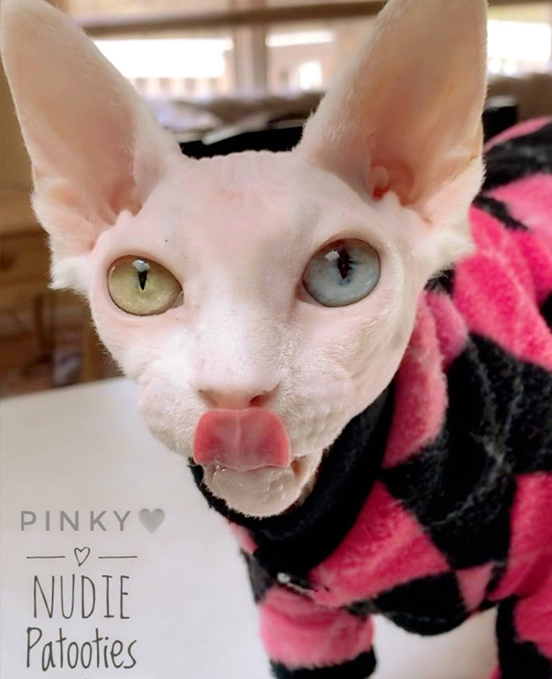 Sphynx cat and kitten shirt. Sphynx cat clothes.