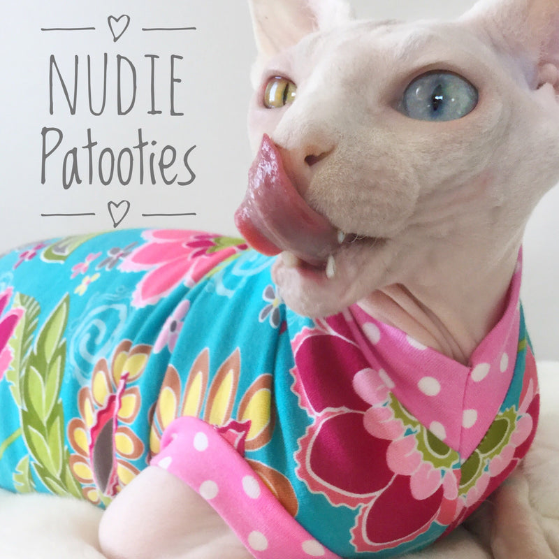 Odd eye sphynx cat in floral shirt.  Sphynx cat and kitten clothes.