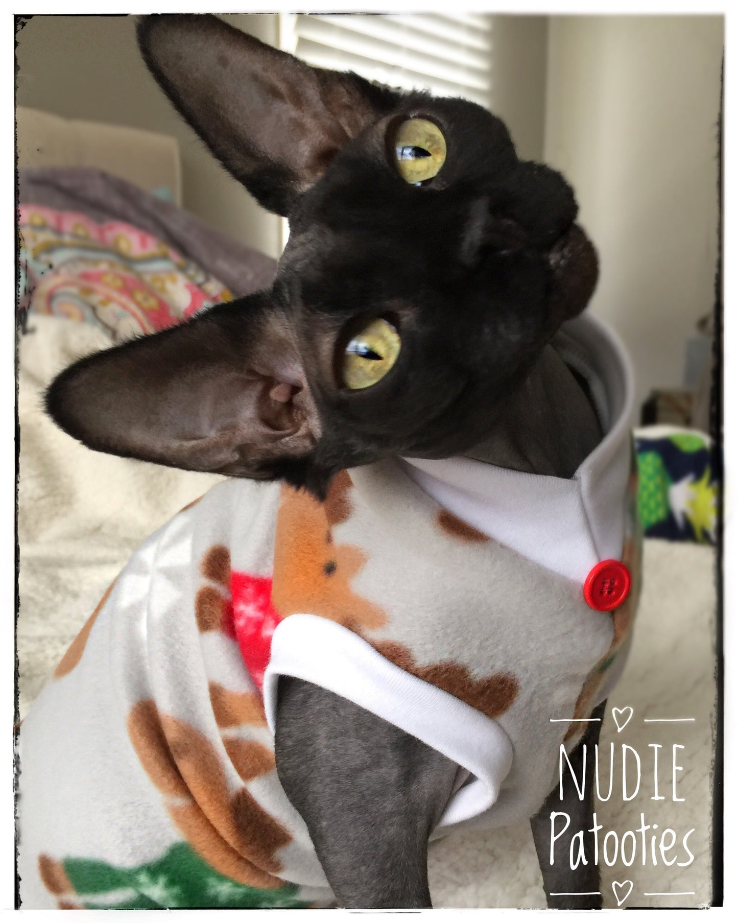 Christmas Moose Fleece "Merry ChrisMoose" - Nudie Patooties Sphynx cat clothes for your sphynx cat, sphynx kitten, Donskoy, Bambino Cat, cornish rex, peterbald and devon rex cat.