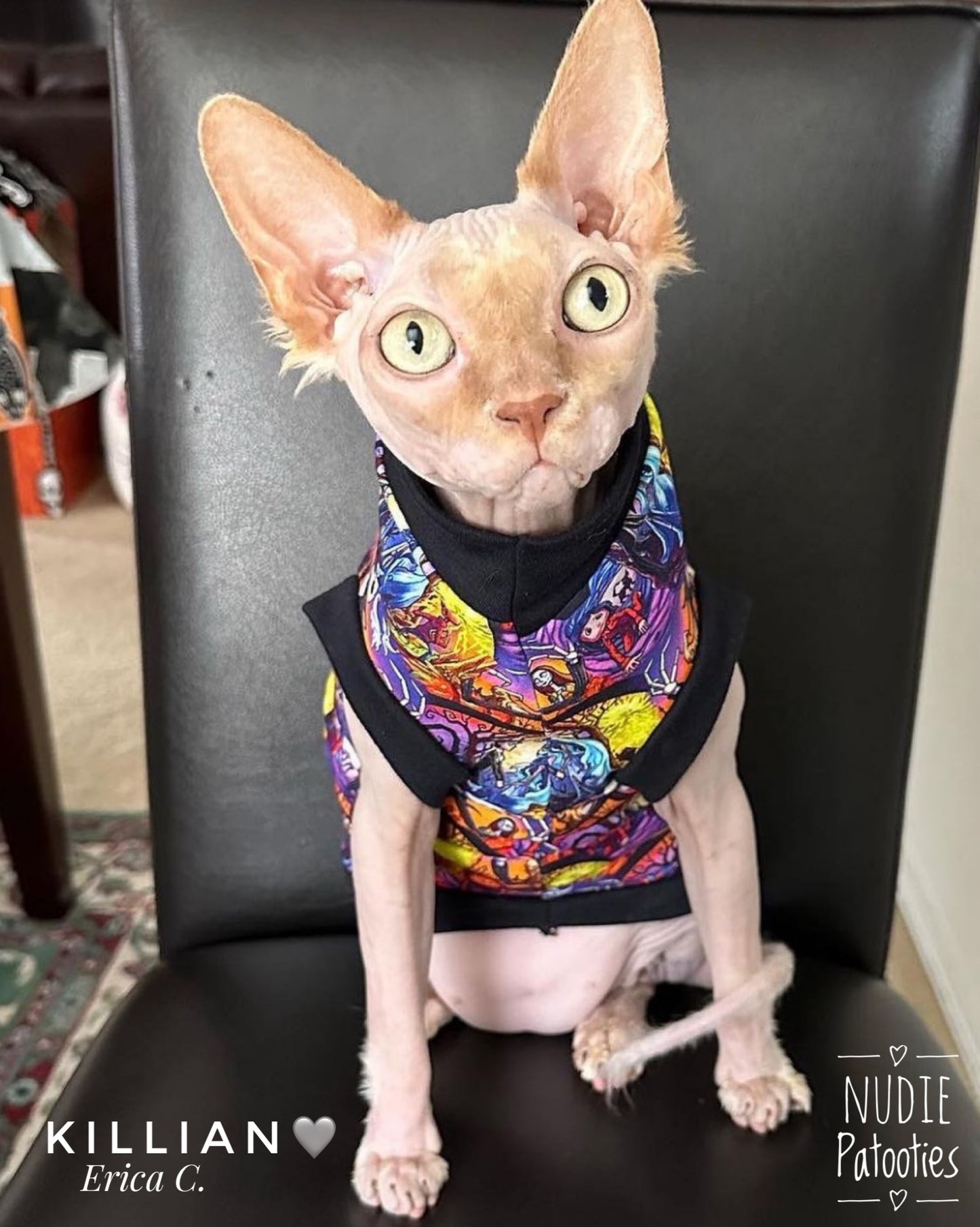 Sphynx cat and kitten shirt. Sphynx cat clothes.