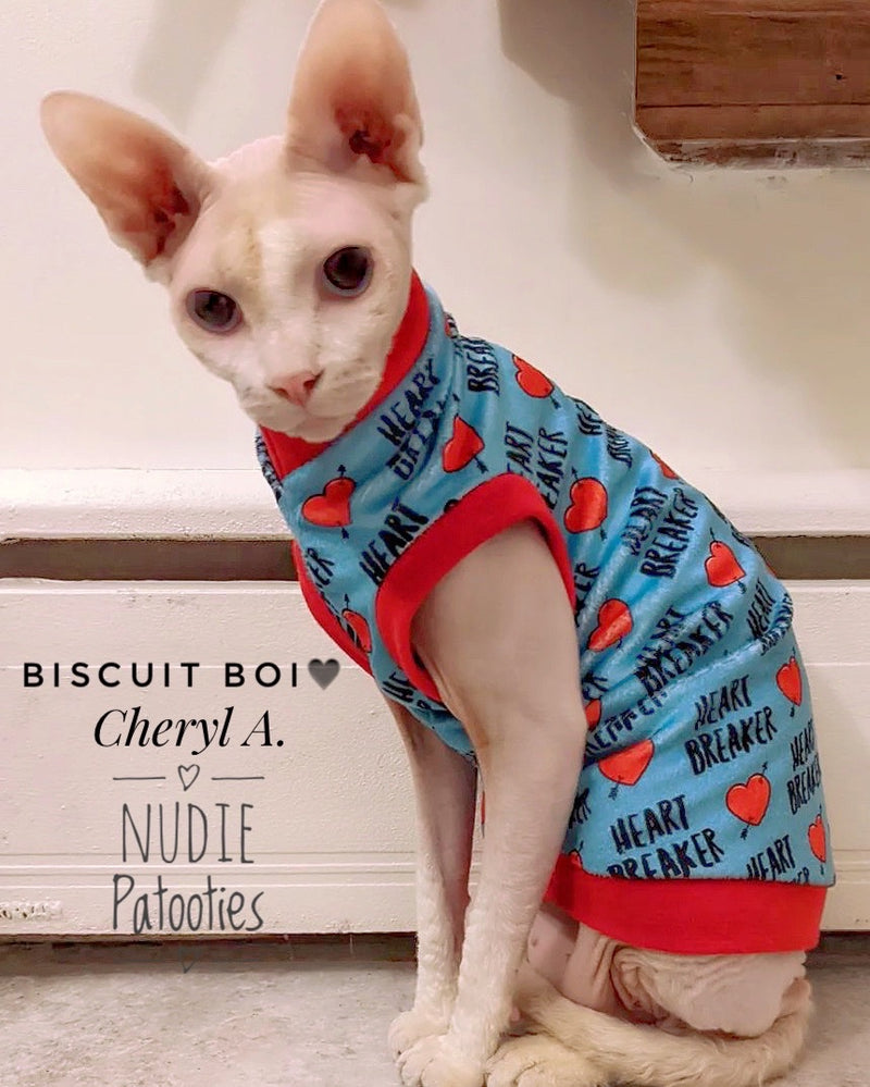 Sphynx cat and kitten shirt. Sphynx cat clothes
