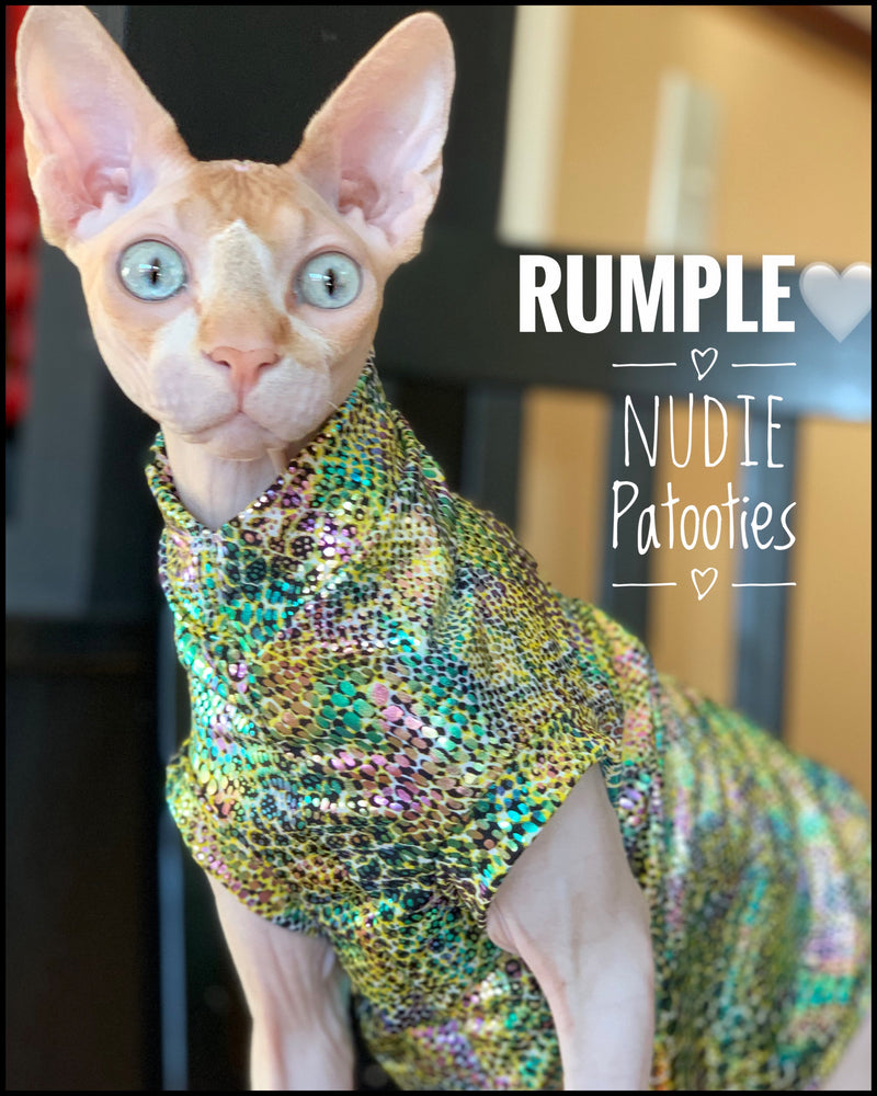 Sphynx cat clothes, shirts and sweaters.