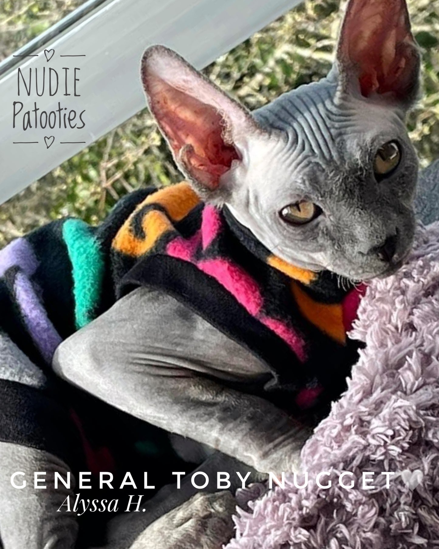 Sphynx cat and kitten warm and soft fleece shirt. Sphynx cat clothes.
