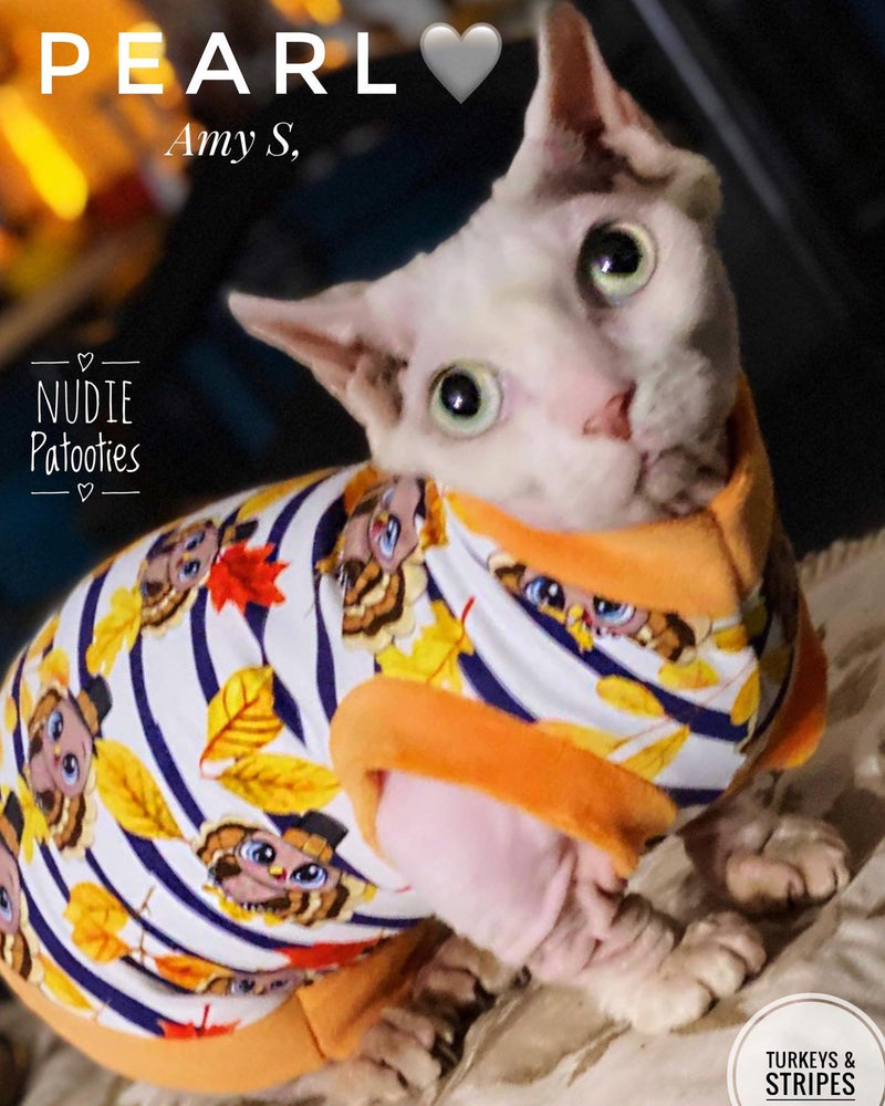 Sphynx cat and kitten turkey shirt. Sphynx cat clothes