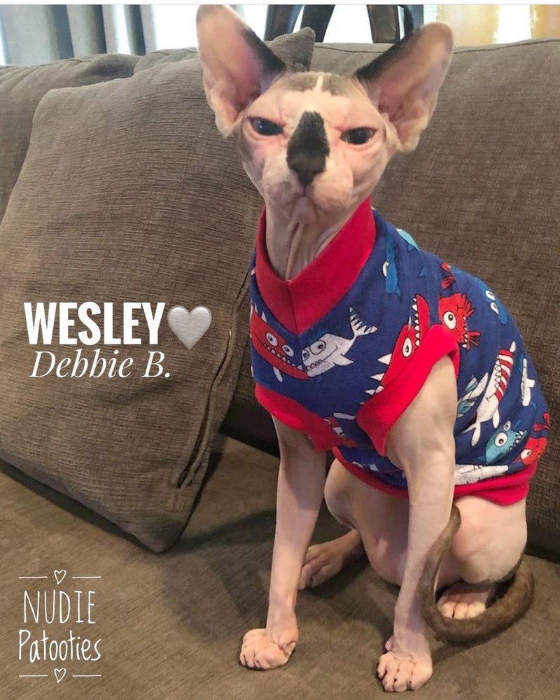 Patriotic Piranha