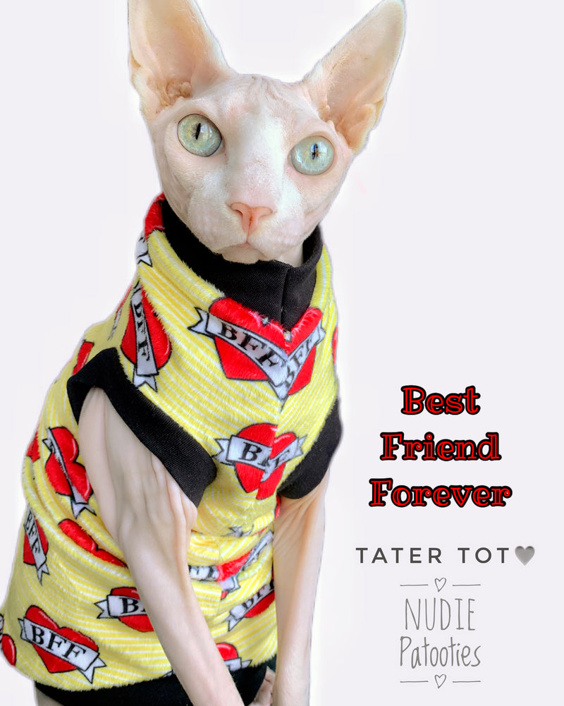 sphynx cat and kitten shirt. sphynx cat clothes
