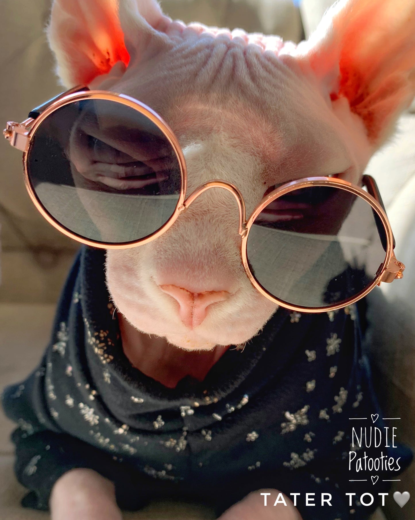 Sunglasses for Cats