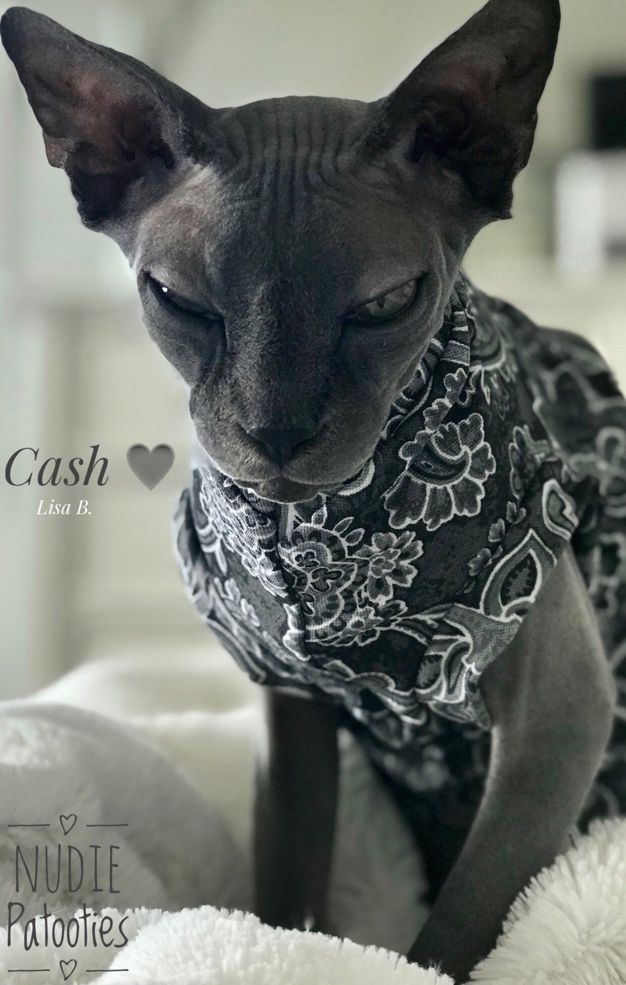 Paisley Knit/ Sphynx Cat Fleece Clothes / clothes for cats/ cat overalls /cat shirt/ cat sweater/ cat sweatshirt/ pet sweater/ Sphynx cat clothes/ Sphynx clothing / cats clothes/ shirt for cat/ cat clothes/ tattoo/ skull/ designer cat clothes/ cat pjs