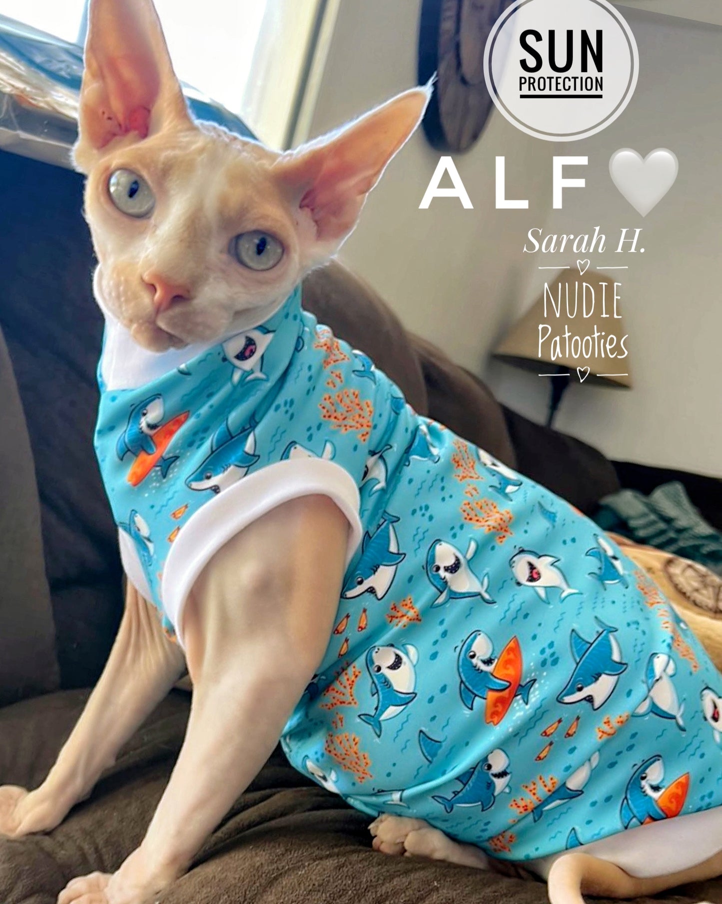 UV 50 + sun protection shirt for sphynx cat and kitten. Sphynx cat clothes.