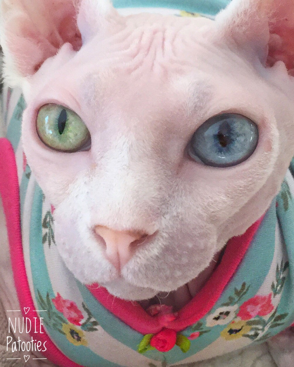 Mint Stripes and Pink Flowers - Nudie Patooties