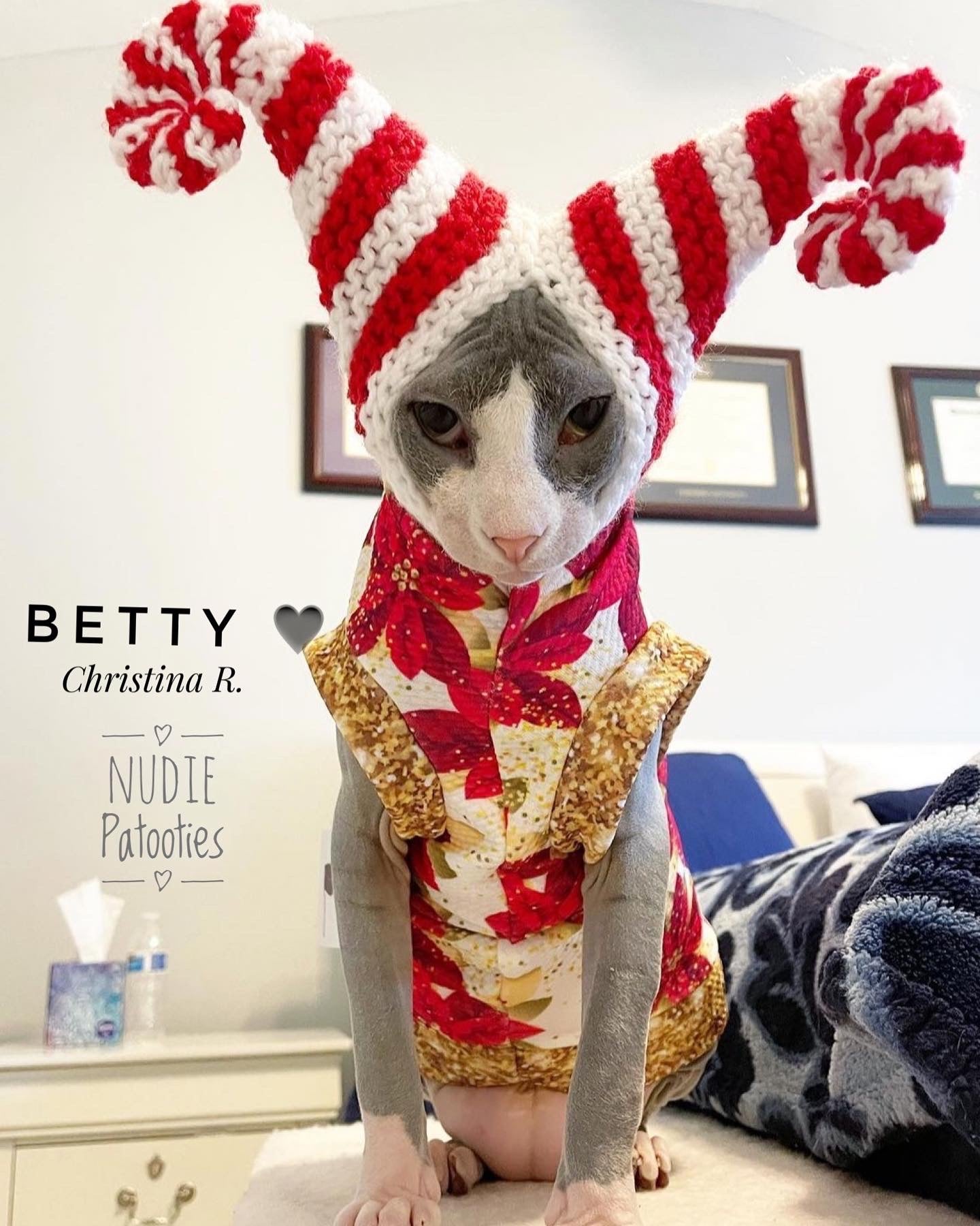 Poinsettia Christmas sphynx cat and kitten shirt. Sphynx cat clothes