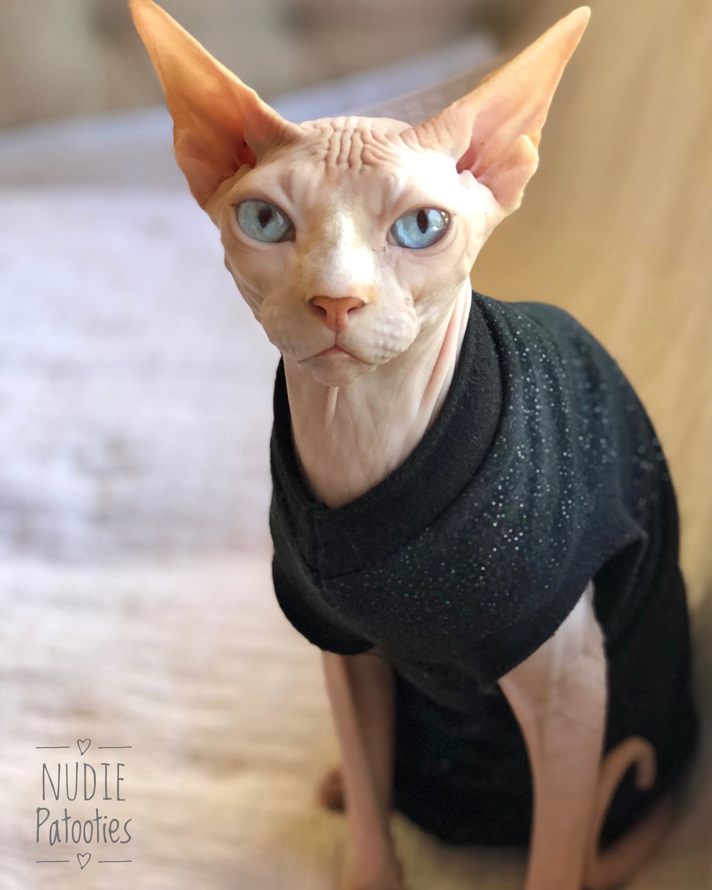 Black Sparkly Shirt - Nudie Patooties Sphynx cat clothes for your sphynx cat, sphynx kitten, Donskoy, Bambino Cat, cornish rex, peterbald and devon rex cat.