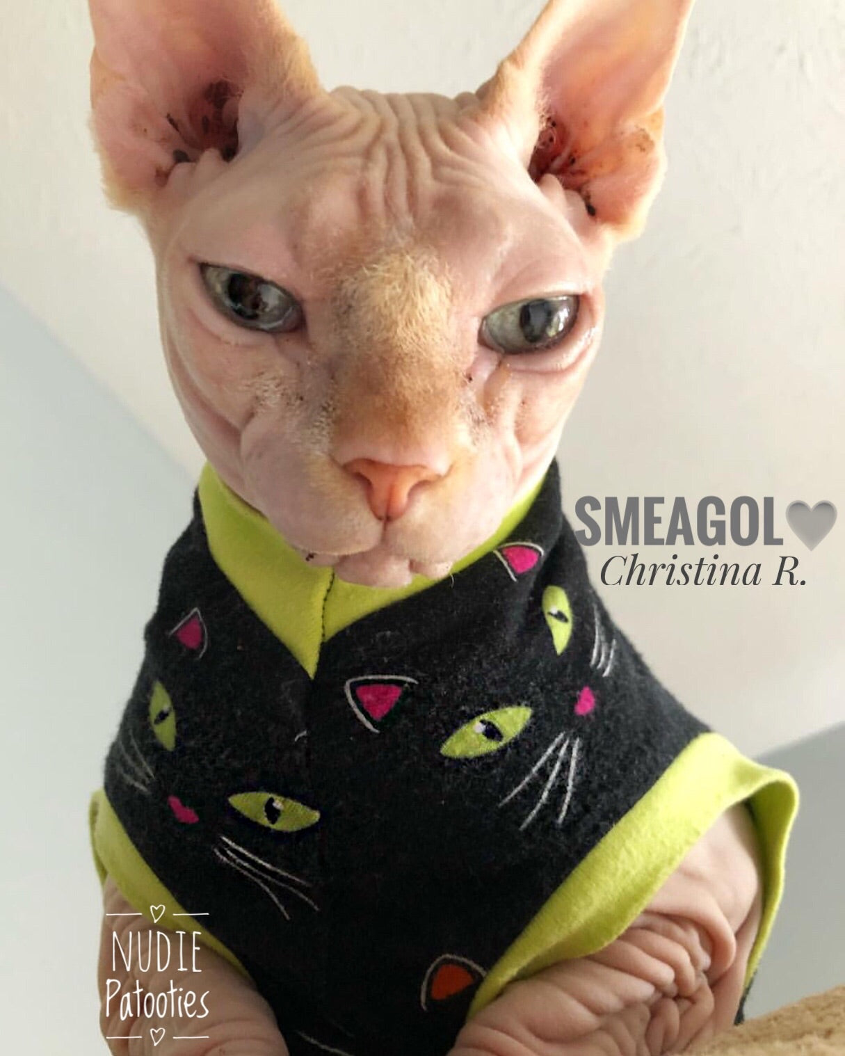 Polka Dot Black Cats