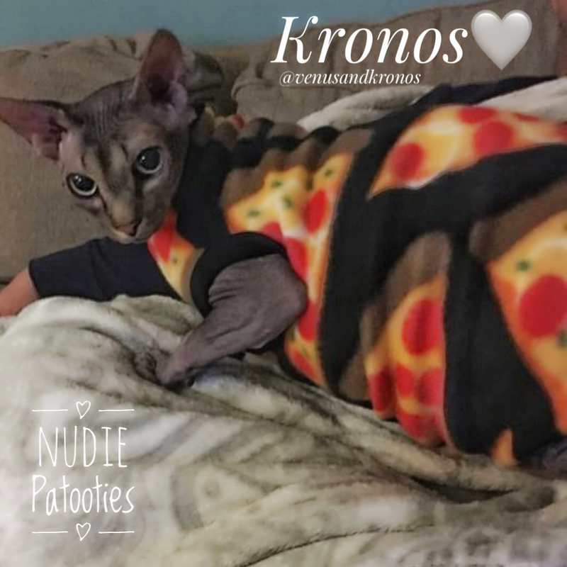 Pizza fleece for sphynx cat, cornish rex, peterbald, and devon rex. Sphynx clothes. cat clothes