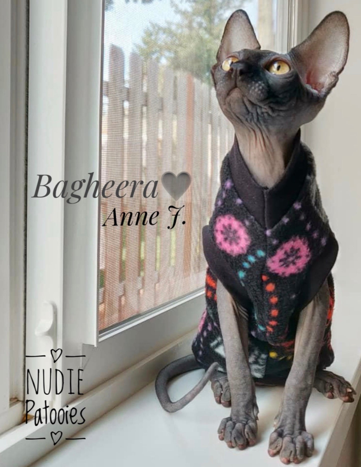 Sugar-Stars & Wars Fleece