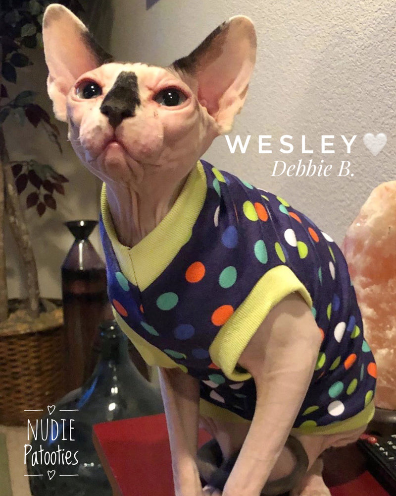 Sphynx cat clothes