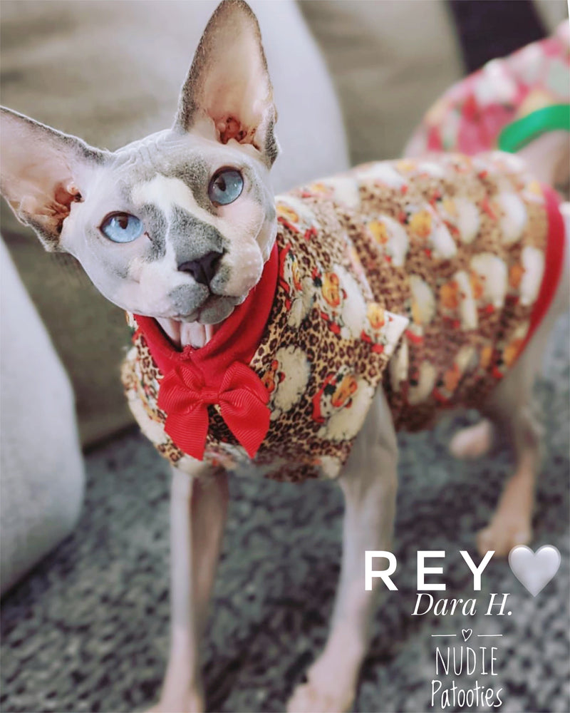 Leopard Santa Sphynx cat and kitten shirt. Sphynx cat clothes