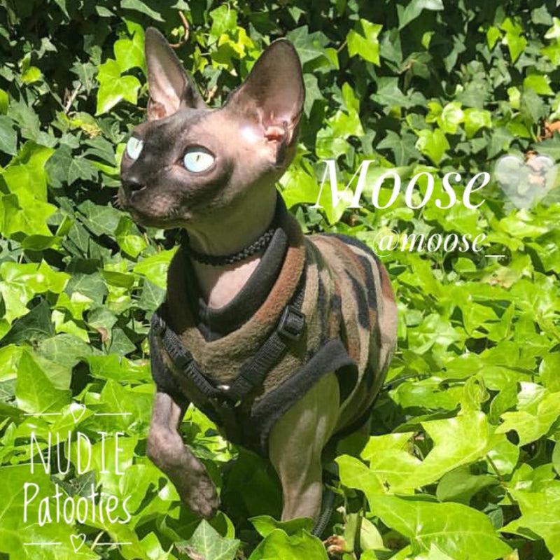 Sphynx Cat Fleece Clothes / clothes for cats/ cat overalls /cat shirt/ cat sweater/ cat sweatshirt/ pet sweater/ Sphynx cat clothes/ Sphynx clothing / cats clothes/ shirt for cat/ cat clothes/ tattoo/ skull/ designer cat clothes/ cat pjs