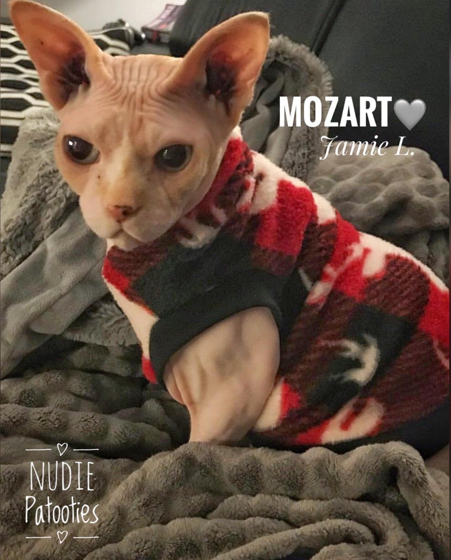 Nudie Patooties Fleece shirt for your sphynx cat, sphynx kitten, Donskoy, Bambino Cat, cornish rex, peterbald and devon rex cat.  Sphynx cat clothes, shirts and sweaters.  