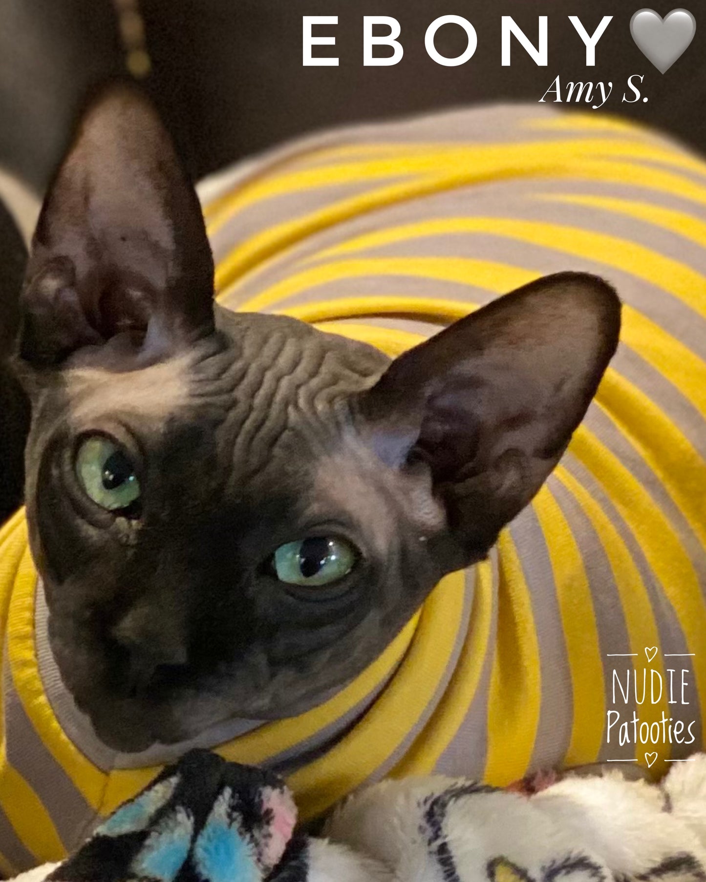 Grey and Yellow Stripe