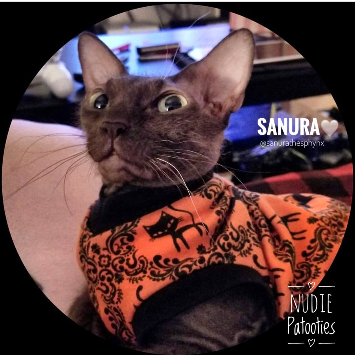 Orange with Black Cats - Nudie Patooties
