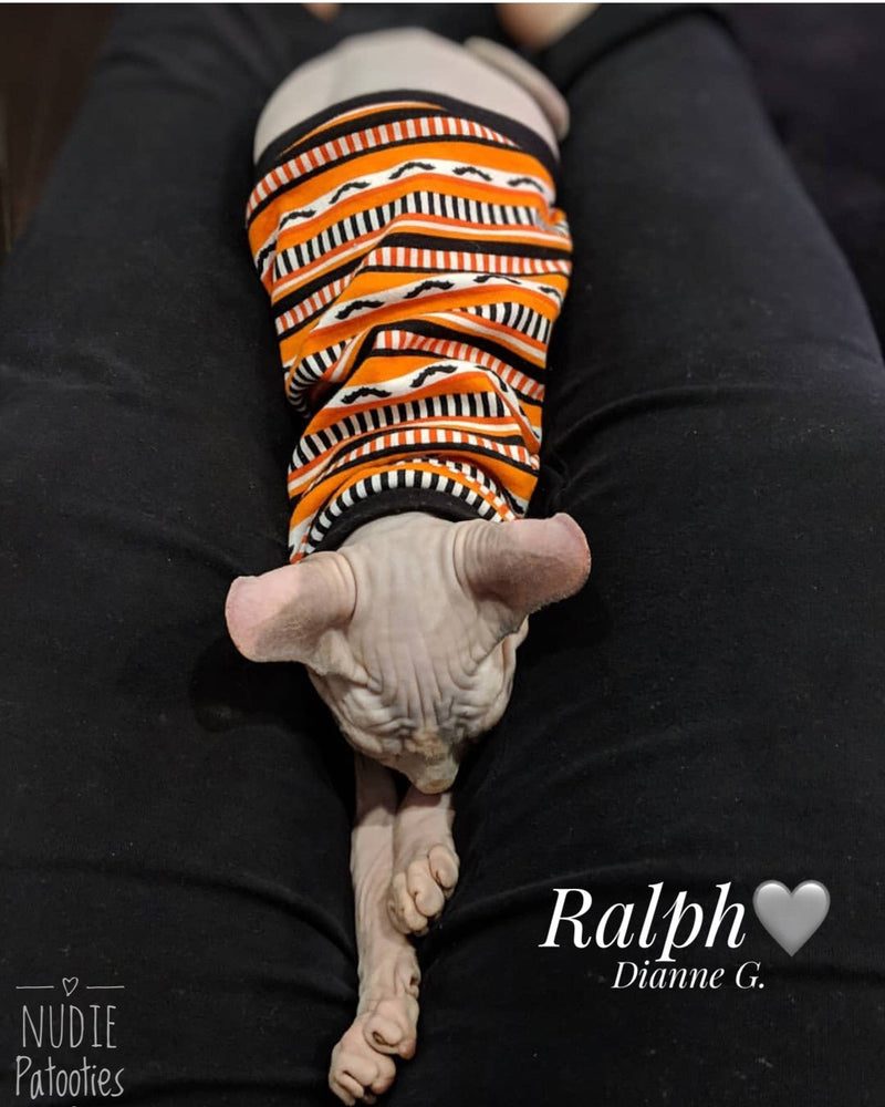 Batty Bat - Nudie Patooties Sphynx cat clothes for your sphynx cat, sphynx kitten, Donskoy, Bambino Cat, cornish rex, peterbald and devon rex cat.