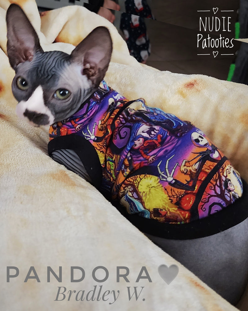 Sphynx cat and kitten shirt. Sphynx cat clothes.