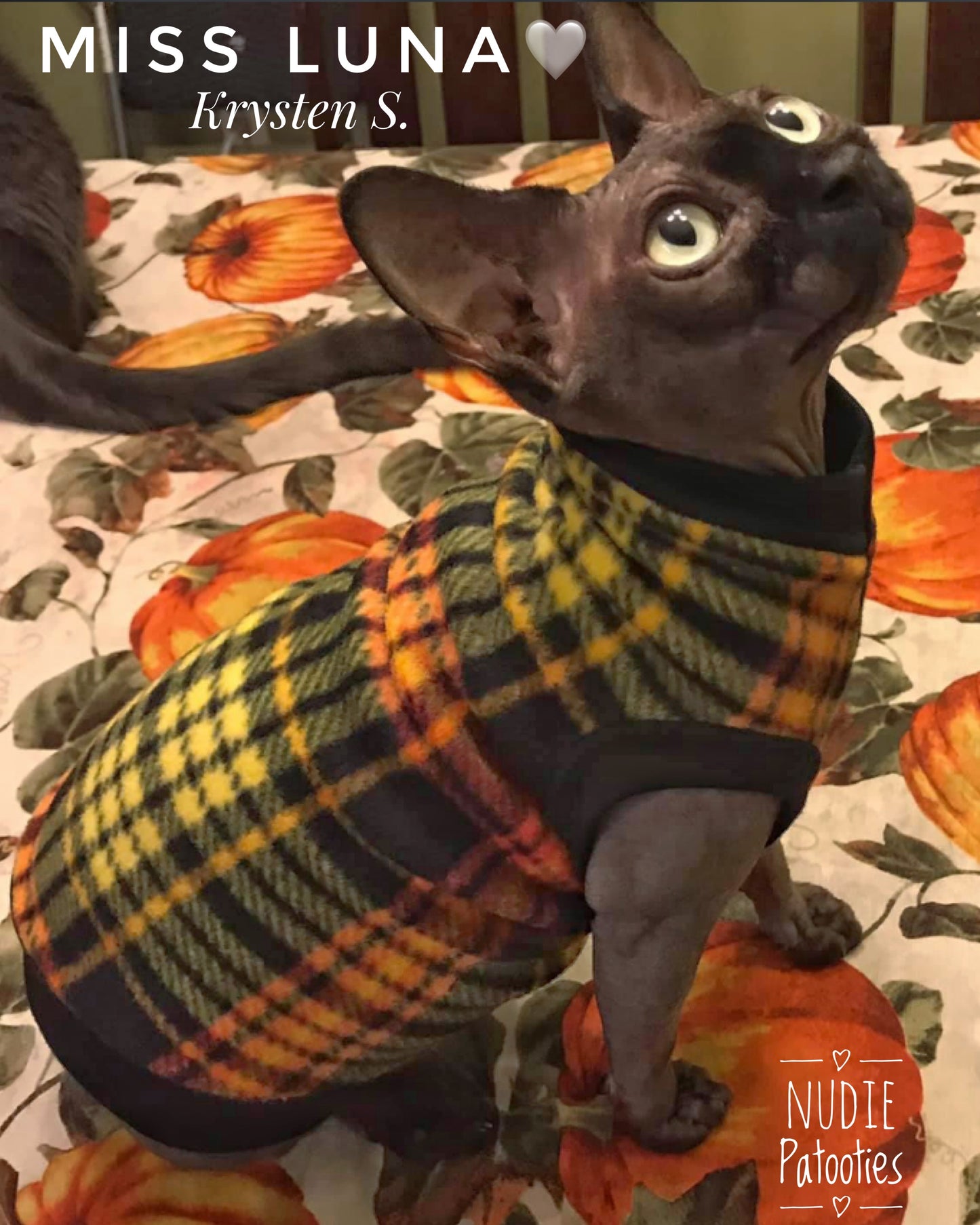 Orange, Yellow, and Red Plaid Fleece "Appreciate Everything"