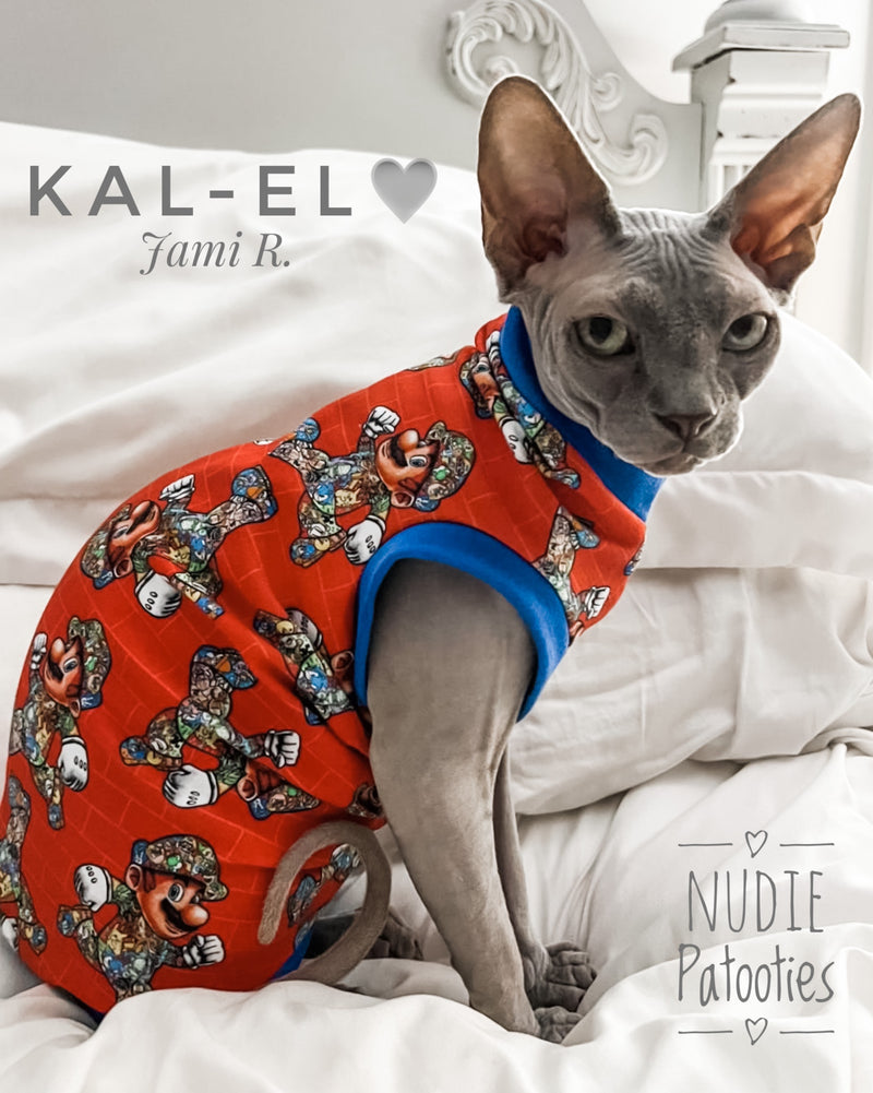 Sphynx cat and kitten shirt. Sphynx cat clothes.