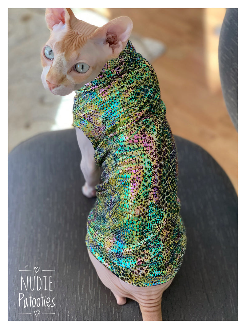 Sphynx cat clothes, shirts and sweaters.